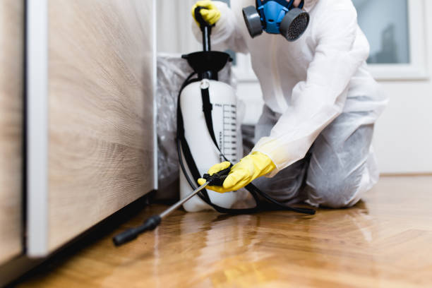  Crystal City, MO Pest Control Pros