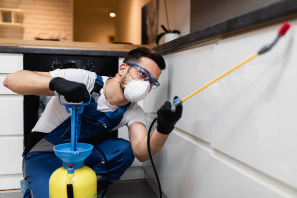 Best Pest Inspection Near Me  in Crystal City, MO