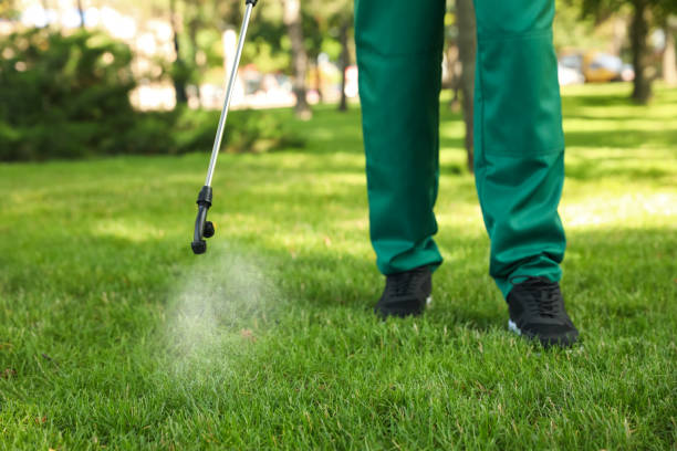 Best Bed Bug Extermination  in Crystal City, MO