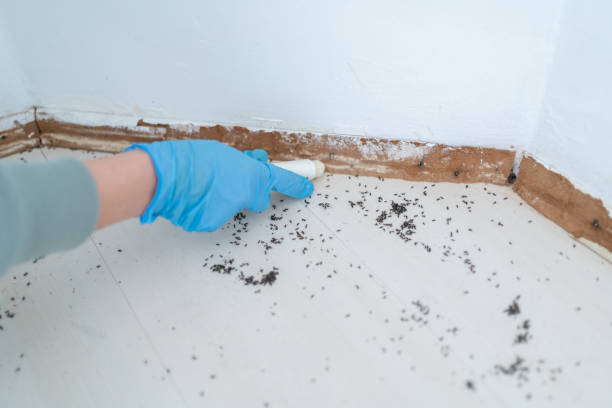 Crystal City, MO Pest Control Company